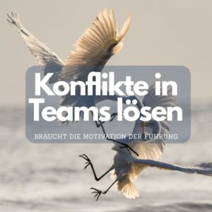 Konflikte in Teams lösen