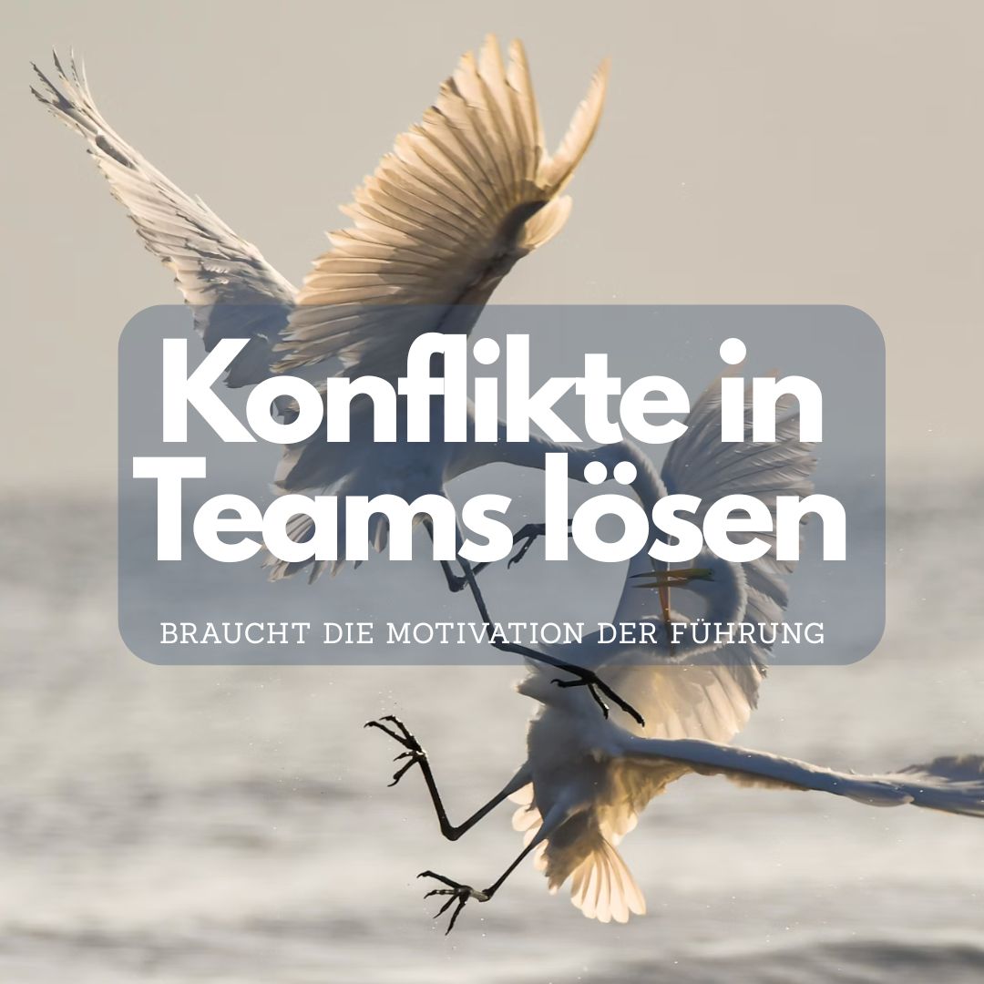 Konflikte in Teams lösen